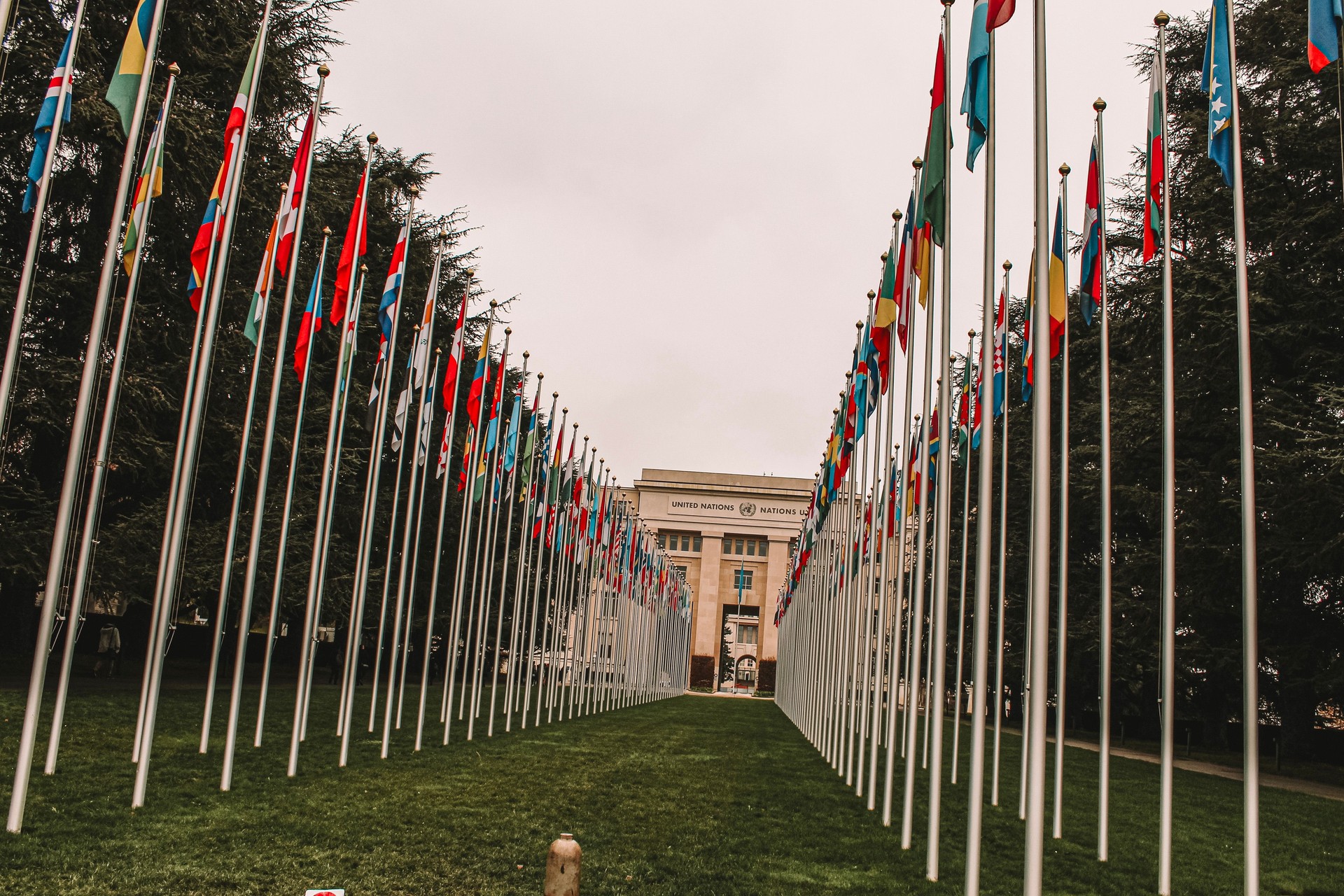 Row of flags in a PUBLIC building
